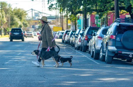 Photo for New Orleans, LA - February 8, 2016: Woman wearing straw hat crossing the street with two dogs on a leashleash. - Royalty Free Image