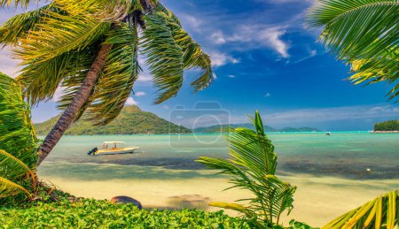 Foto de Tropical Paradise beach. Beautiful shoreline of Seychelles Islands. - Imagen libre de derechos