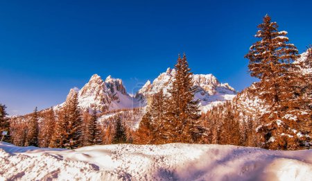 Photo for Alpin valley and trees in winter, surrounded by beautiful mountains. - Royalty Free Image