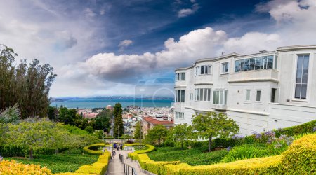 Photo for Panoramic city view of San Francisco skyline from the Lyon Steps viewpoint. - Royalty Free Image