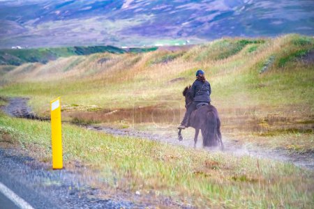 Foto de Paseos a caballo por los prados de Islandia. - Imagen libre de derechos