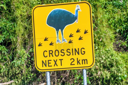 Téléchargez les photos : Méfiez-vous des panneaux routiers Cassowaries dans la belle route du Queensland, Australie. - en image libre de droit