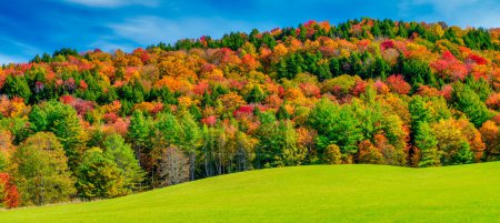 Téléchargez les photos : Feuillage d'automne à travers les collines vallonnées du Vermont. Peak couleur automne par une belle journée ensoleillée en Nouvelle-Angleterre. - en image libre de droit