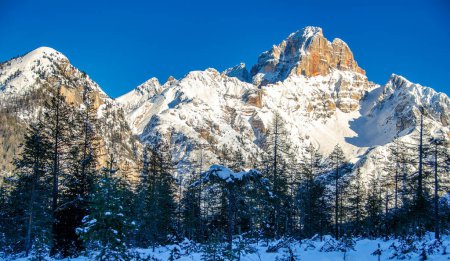 Téléchargez les photos : Vallée de l'Alpin et arbres en hiver, entourés de belles montagnes. - en image libre de droit
