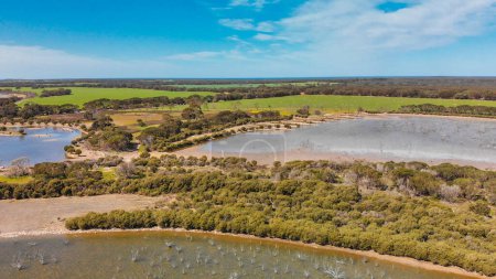 Photo for Kangaroo Island lake and trees, aerial view from drone - Australia- - Royalty Free Image