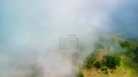 Foto de Madeira, Portugal. El mágico Bosque Fanal es parte del bosque Laurisilva. Vista aérea desde el dron con nubes bajas y árboles. - Imagen libre de derechos