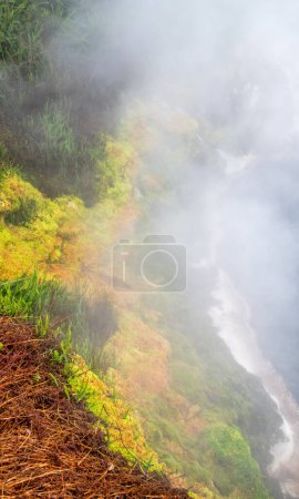Téléchargez les photos : Piscine thermique à Waikite Valley, Rotorua, Nouvelle-Zélande. - en image libre de droit
