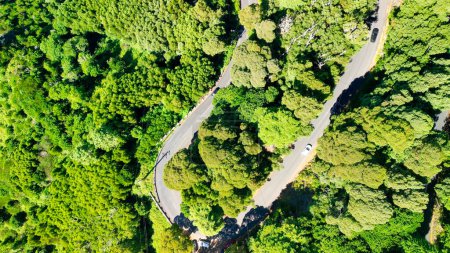 Téléchargez les photos : Vue aérienne vers le bas d'une belle route venteuse traversant une forêt. - en image libre de droit