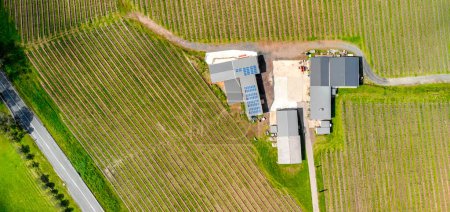 Téléchargez les photos : South Australia Vineyards, aerial view from drone. - en image libre de droit