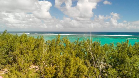 Téléchargez les photos : Aerial view of Le Morne Beach and Forest in beautiful Mauritius Island. - en image libre de droit