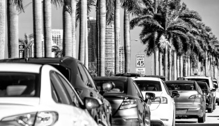 Photo for Car traffic in Miami. Queue of cars on a tree-lined boulevard. - Royalty Free Image