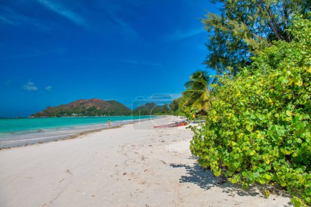 Tropical Paradise beach. Beautiful shoreline of Seychelles Islands.