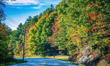 Photo for Road of New England in foliage season, USA. - Royalty Free Image