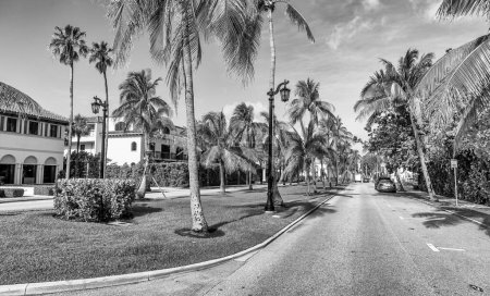 Photo for Royal Palm Way in Palm Beach Island, Florida. Street view on a beautiful spring sunny day. - Royalty Free Image
