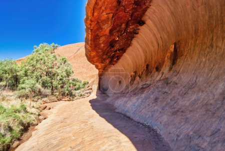 Foto de Árboles del Outback Australiano y rocas rojas, Territorio del Norte. - Imagen libre de derechos