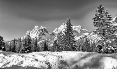 Photo for Alpin valley and trees in winter, surrounded by beautiful mountains. - Royalty Free Image