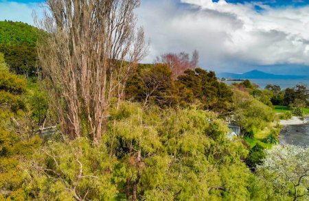 Téléchargez les photos : Vue aérienne du lac Taupo - Île du Nord, Nouvelle-Zélande. - en image libre de droit