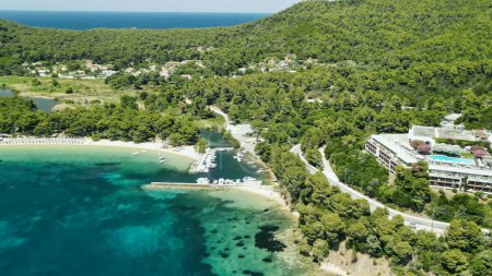 Téléchargez les photos : Vue aérienne imprenable sur la plage de Koukounaries à Skiathos, Grèce - en image libre de droit