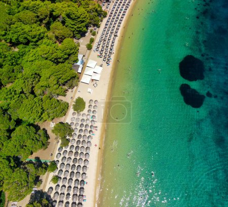 Foto de Vista aérea aérea de sombrillas de playa a lo largo de una hermosa playa. - Imagen libre de derechos