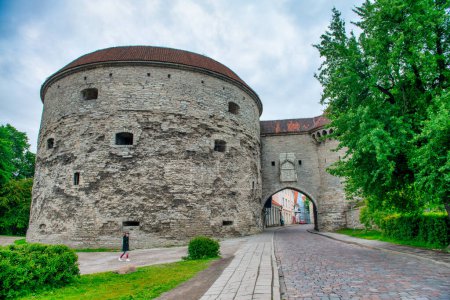Téléchargez les photos : Tallinn, Estonie - 2 juillet 2017 : Rues et bâtiments de Tallinn par une journée d'été nuageuse. - en image libre de droit