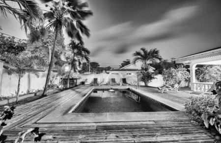 Photo for Night view of a tropical house with pool and palms. - Royalty Free Image
