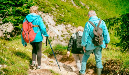 Téléchargez les photos : Personnes âgées le long d'un sentier de montagne en été, vue arrière - en image libre de droit