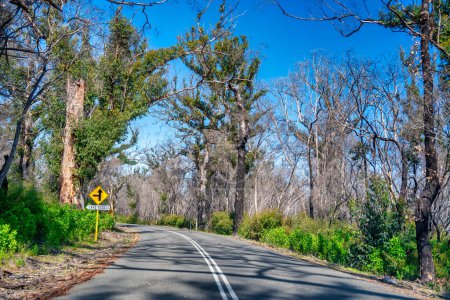 Photo for Beautiful Caves Road in spring season, Western Australia. - Royalty Free Image