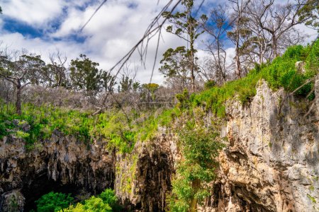 Téléchargez les photos : Entrée de la grotte du lac Margaret River, Australie. - en image libre de droit