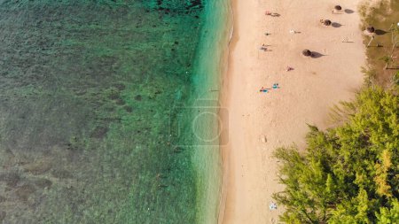 Téléchargez les photos : Vue aérienne d'une belle plage de sable avec végétation. - en image libre de droit