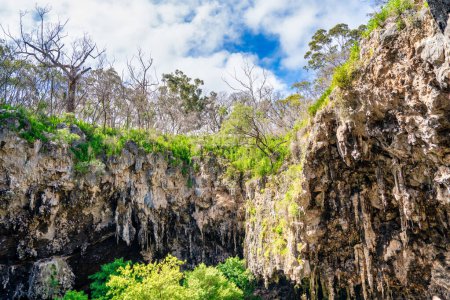 Téléchargez les photos : Entrée de la grotte du lac Margaret River, Australie. - en image libre de droit