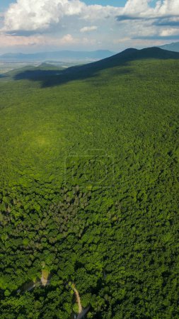 Téléchargez les photos : Vue aérienne panoramique des lacs de Plitvice et de la forêt en saison estivale, Croatie - en image libre de droit