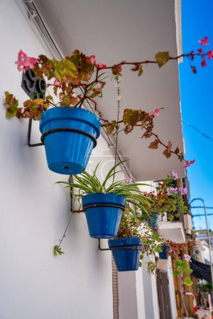 Photo for Home decorations along the beautiful promenade of Estepona on a clear sunny day, Andalusia. - Royalty Free Image