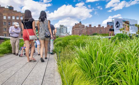 Téléchargez les photos : New York - Juin 2013 : La High Line est une attraction touristique célèbre. - en image libre de droit