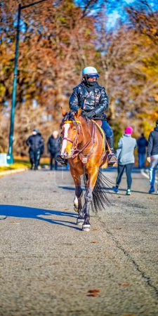 Téléchargez les photos : New York City, NY - December 7, 2018: Police on horseback along Central Park promenade on a beautiful winter morning. - en image libre de droit
