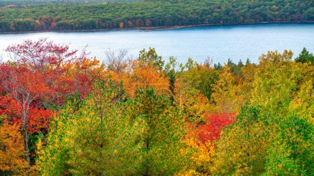 Photo for Autumn foliage in fall season. Red autumn landscapes in fall, trees and mountains of New England. - Royalty Free Image