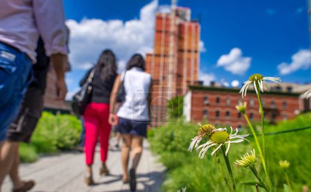 Téléchargez les photos : New York - La High Line est une attraction célèbre pour les touristes. - en image libre de droit