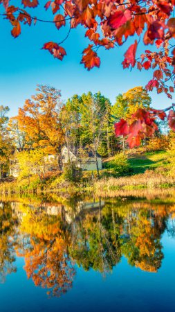 Téléchargez les photos : Un lac dans la forêt, saison des feuillages d'automne. - en image libre de droit