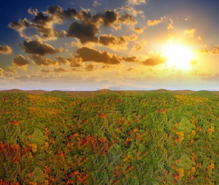 Foto de Vista panorámica aérea del bosque follaje de Nueva Inglaterra al atardecer, EE.UU. - Imagen libre de derechos