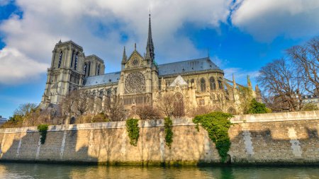 Foto de Catedral de Notre Dame en París. - Imagen libre de derechos