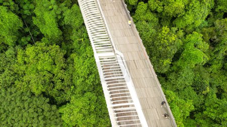 Foto de Vista aérea del Puente de las Olas Henderson en Singapur. - Imagen libre de derechos