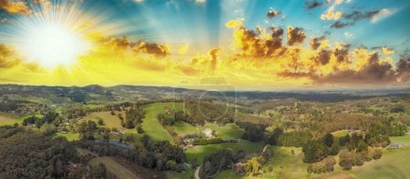 Photo for Panoramic aerial view of vineyards at sunset. - Royalty Free Image