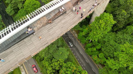 Téléchargez les photos : Vue aérienne du pont Henderson Waves à Singapour. - en image libre de droit