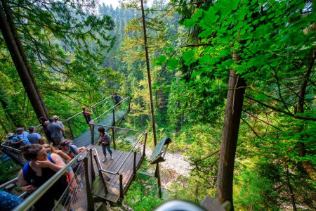 Téléchargez les photos : North Vancouver, Canada - Le 11 août 2017 : Les touristes visitent le parc du pont Capilano par une journée d'été ensoleillée. - en image libre de droit