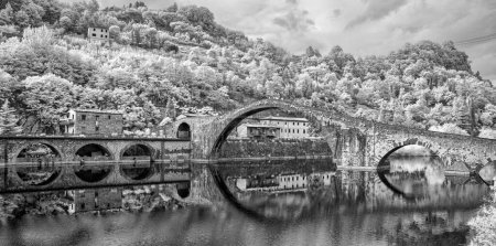 Téléchargez les photos : Lucca, Devils Bridge. Architecture et végétation en noir et blanc
. - en image libre de droit