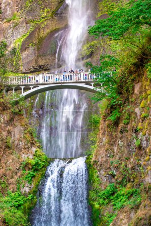 Photo for Multnomah Falls, Columbia RIver Gorge - Oregon. - Royalty Free Image