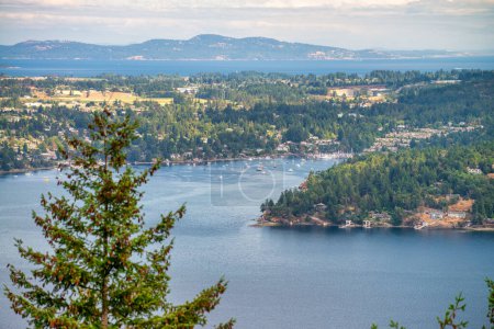 Photo for Aerial panoramic view of Saanich Inlet in Vancouver Island, Canada. - Royalty Free Image