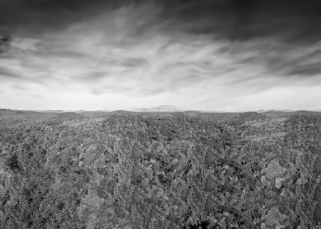 Téléchargez les photos : Vue aérienne panoramique de la forêt de feuillage de la Nouvelle-Angleterre au coucher du soleil, États-Unis - en image libre de droit