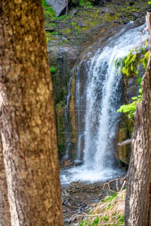Téléchargez les photos : Vue imprenable sur le parc national du Mont Rainier en saison estivale, Washington - États-Unis. - en image libre de droit