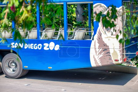 Photo for San Diego Zoo tram tour. - Royalty Free Image