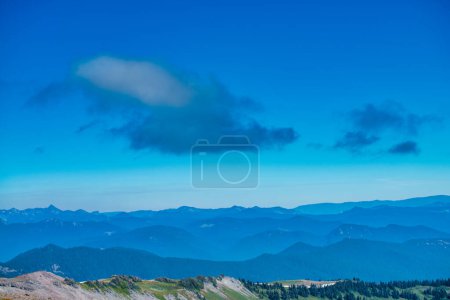 Photo for Amazing landscape of Mount Rainier National Park in summer season, Washington - USA. - Royalty Free Image